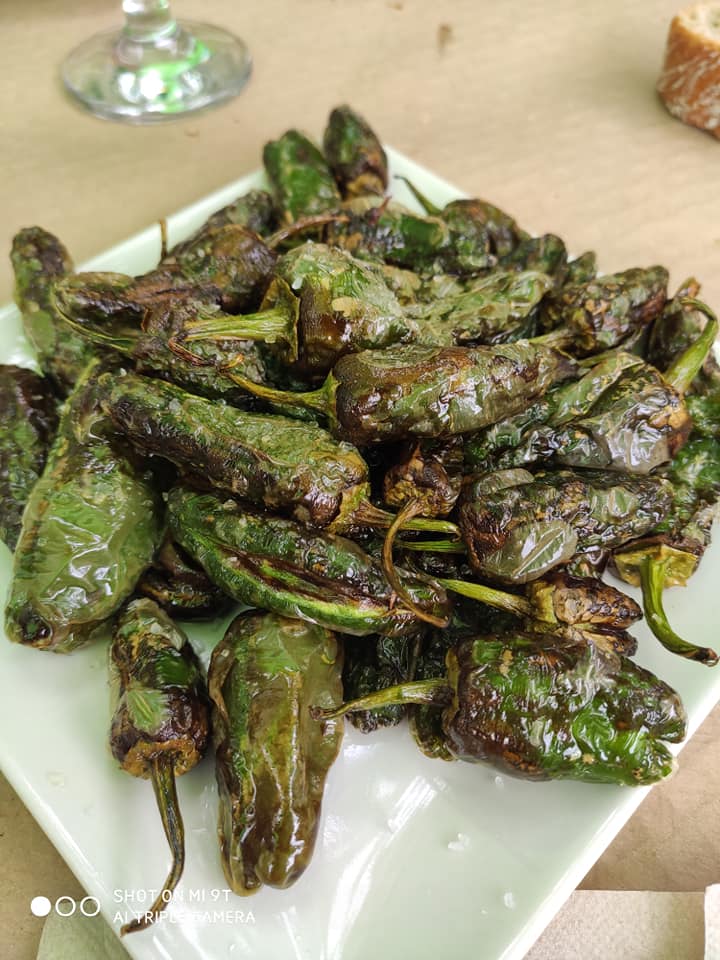 Pimientos de padrón